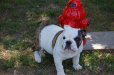 DSC_0026.jpg DSC_0026.jpg