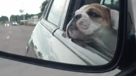 2012-06-14_big mirror.webp