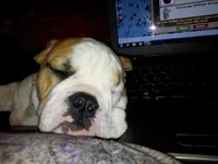 Lola first year one 019.webp Lola first year one 019.webp