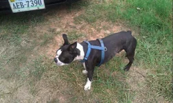 4-3-2012 1666.webp
