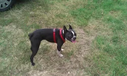 4-3-2012 463.webp