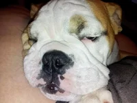 Lola first year one 031.webp