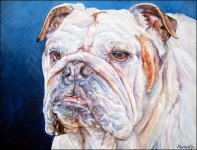 bulldog_04s-1.jpg bulldog_04s-1.jpg