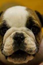 Ellie Mae 3.jpg Ellie Mae 3.jpg