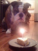 birthday.jpg birthday.jpg