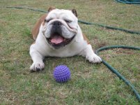 Ftse playing ball 003.jpg Ftse playing ball 003.jpg