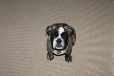 IMG_2189.jpg IMG_2189.jpg