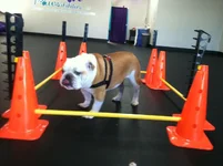 6-17-12-therapy.webp
