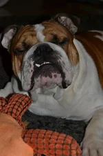 DSC_0016 – Kopio.webp