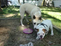 Rocco Meets Molly 005.webp