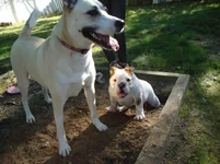 Rocco Meets Molly 024.webp