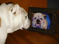 bulldog painting 002.webp