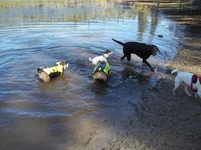 100_0544.webp