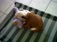 IMG00077-20120103-0708.webp