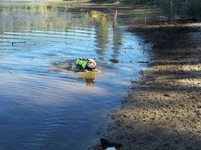100_0523.webp
