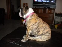 DSCN3452.webp