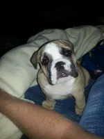 20121023_061854.webp