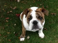 photo(2).webp