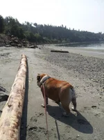 Bea Picnic Point August 2012.webp