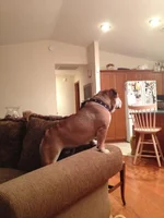 IMG_4571.webp IMG_4571.webp