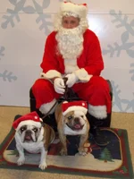 100_0799.webp
