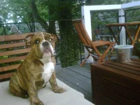 photo (6).webp