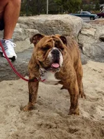 photo (5).webp