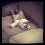 photo(7).webp photo(7).webp