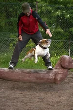 DSC_0204.webp