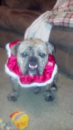 2012-12-09_20-17-02_417.jpg 2012-12-09_20-17-02_417.jpg