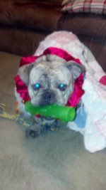 2012-12-09_20-18-28_53.jpg 2012-12-09_20-18-28_53.jpg