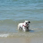 IMG_20120818_210927.webp