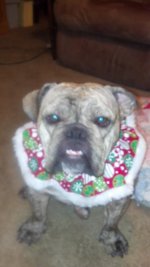 2012-12-09_20-20-40_644.jpg 2012-12-09_20-20-40_644.jpg