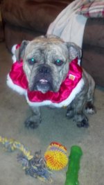 2012-12-09_20-16-24_35.jpg 2012-12-09_20-16-24_35.jpg