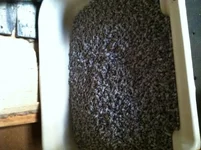 IMG_0544[1].webp