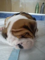 IMG_20120317_110603.webp