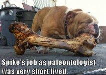 paleontologist.jpg