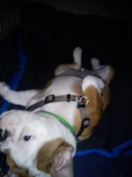 IMG_20120415_215601.webp