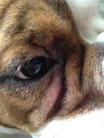 photo.webp