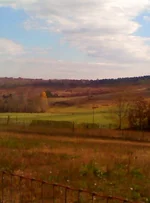 11-08-08_1120.webp