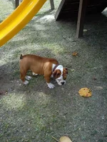 IMG_20120609_125924.webp