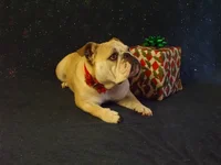 DSCF5570.webp