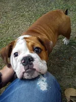 IMG_20120609_130036.webp