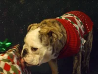 DSCF5508.webp