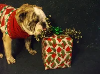 DSCF5501.webp