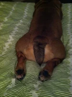 photo(7).webp