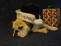 DSCF5580.webp