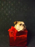 DSCF5487.webp