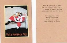 xmas card.webp