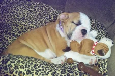 Lola first year 016.webp